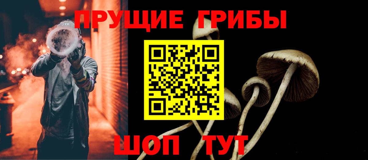 Клин  где купить наркоту  Вход с VPN  Псилоцибиновые грибы Psilocybine cubensis 